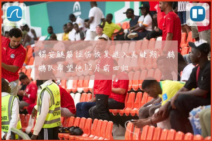 锡安腿筋拉伤恢复进入关键期，鹈鹕队希望他12月前回归
